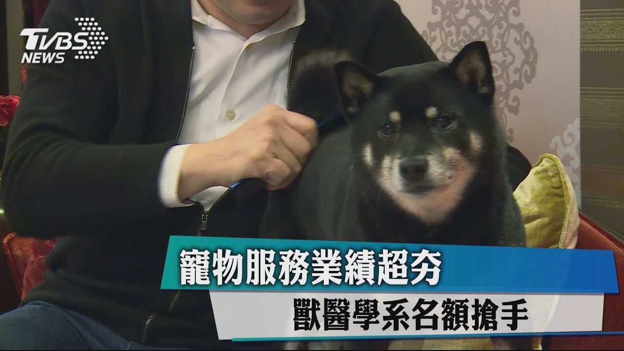 寵物服務業績超夯 獸醫學系名額搶手