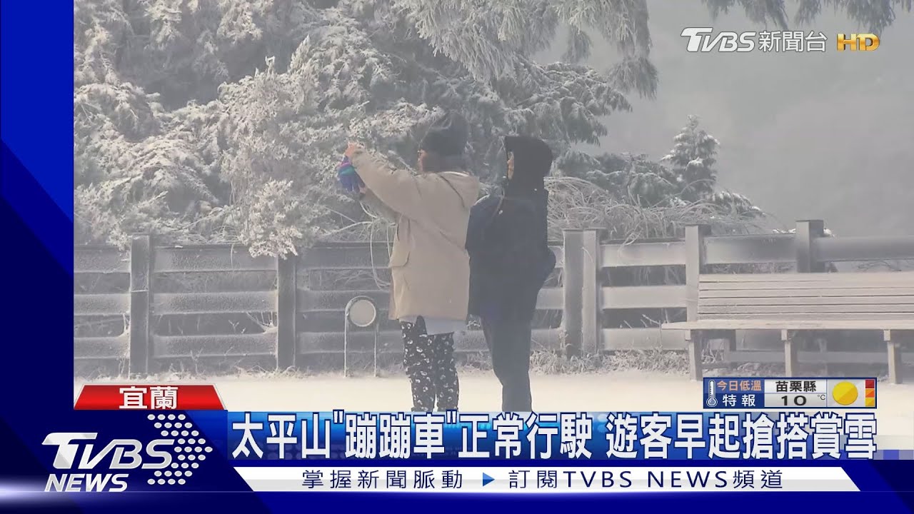 寒流急凍!太平山積雪2公分 遊客穿短裙追雪