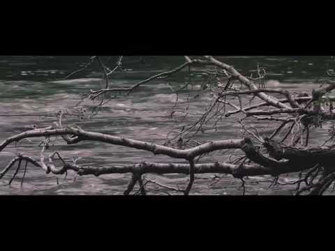 Nature - (Daniel Spaleniak - BACK HOME feat Katarzyna Kowalczyk Coals)