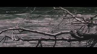 Nature - (Daniel Spaleniak - BACK HOME feat Katarzyna Kowalczyk Coals)