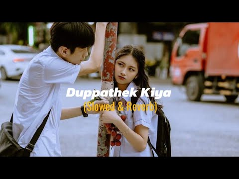 Duppathek Kiya (දුප්පතෙක් කියා) Slowed & Reverb Version ~ @Zantamusic1