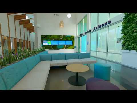 Child Crisis Arizona thumbnail