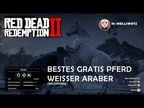 Red Dead Redemption 2: Bestes Pferd - Weißer Araber (Wildpferd) Fundort