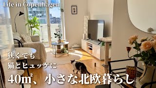 狭くてもズボラでも、猫2匹とヒュッゲな北欧暮らし🐈40㎡1LDK2人暮らし|ズボラ飯とロイヤルコペンハーゲン|Life in Copenhagen with our Cats