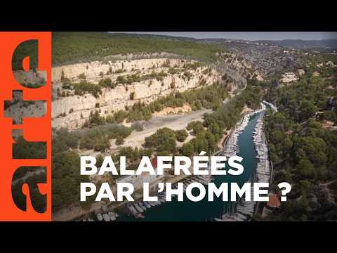 À Marseille, les calanques de tous les combats | Invitation au voyage | ARTE