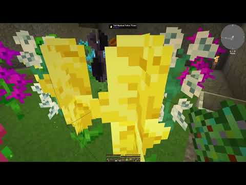 Magoo Plays - Minecraft - Stone Block 3 - Episode 36