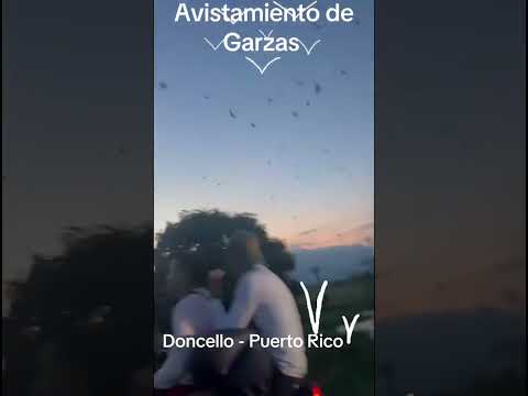 En alquiler finca de recreo en Doncello Caqueta