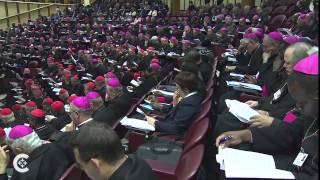 Cardinal Dolan on countercultural bishops