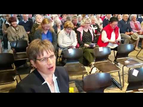 Dolgelin-Lied MGV und Freunde