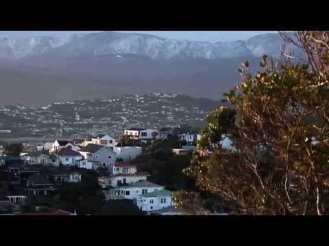 View from Brooklyn Hill, Wellington