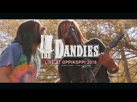 The Dandies - Lonely boy (live at Oppikoppi 2016)