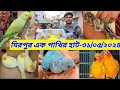 Mirpur 1 bird market A bird market in Mirpur is crowded with domestic and foreign birds Pakhir hat mirpur 1 |pakhir