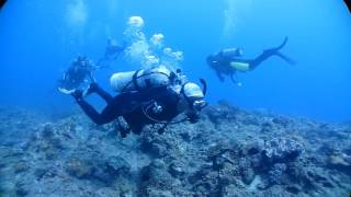20161030 小琉球岸潛4 - 小丑魚