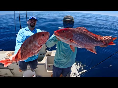 How to Catch Red Snapper Offshore of Tampa Bay for the 2025 Season (WE LIMITED OUT)