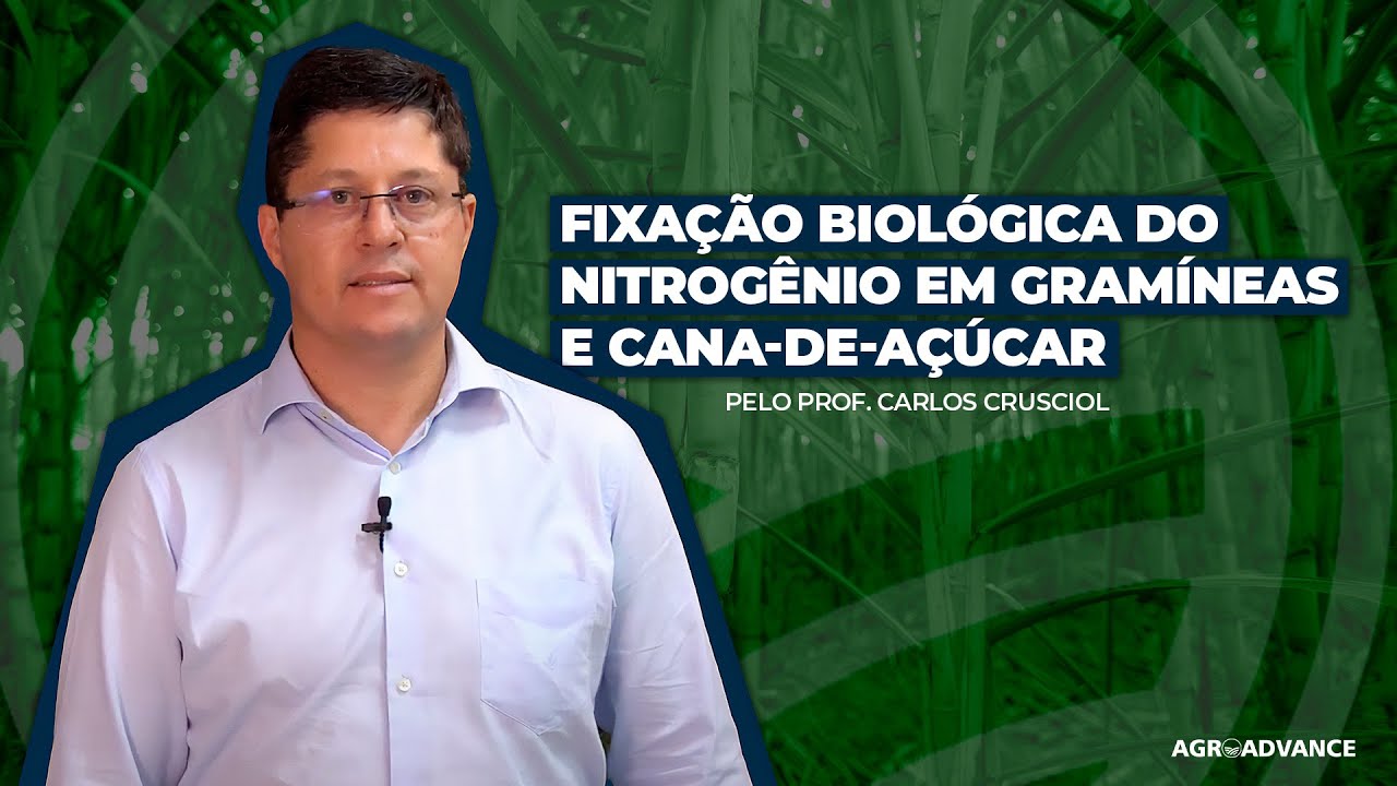 Fixação Biológica do Nitrogênio em Gramíneas e Cana de Açúcar com o Prof. Carlos Crusciol