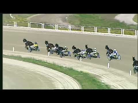 Napoli Trotto 06/11/2022 - 2ª corsa