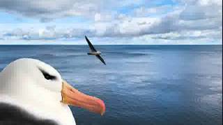 Grateful Dead - Its all over now baby blue - 1966/07/16