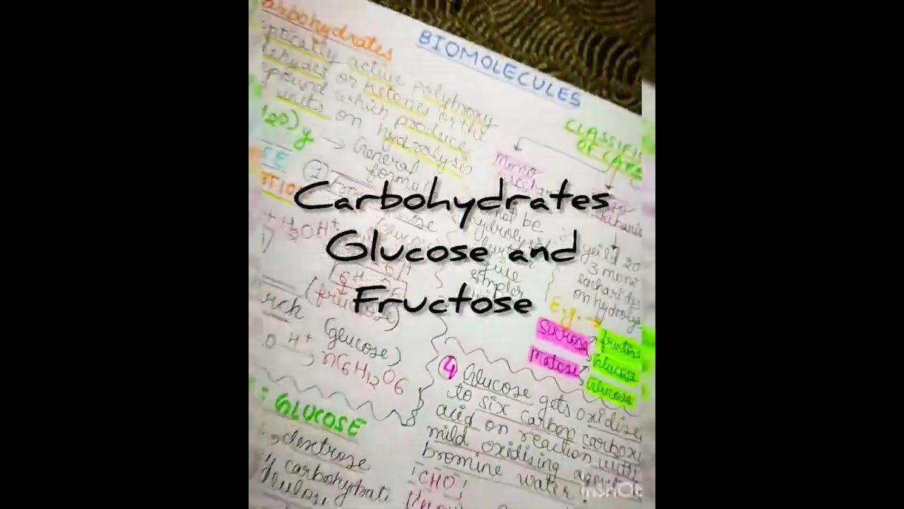 BIOMOLECULES CLASS 12 NOTES | SCIVIEW | QUICK NOTES FOR REVISION