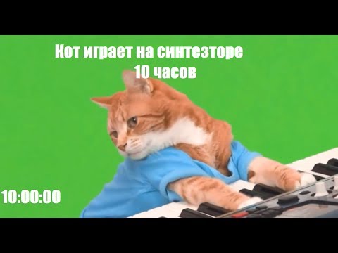 КОТ ИГРАЕТ НА СИНТЕЗАТОРЕ 10 ЧАСОВ(10 hours challenge)