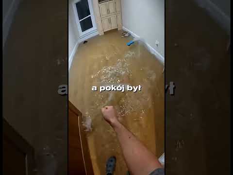 Woda powodziowa wlewała się do naszego domu… ​​Wtedy zorientowaliśmy się, że szczeniak zaginął