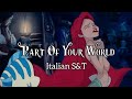 Parte Del Tuo Mondo Part Of Your World Italian Subs Trans