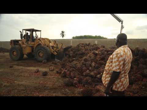 DekelOil   2016   Production & Operational Video