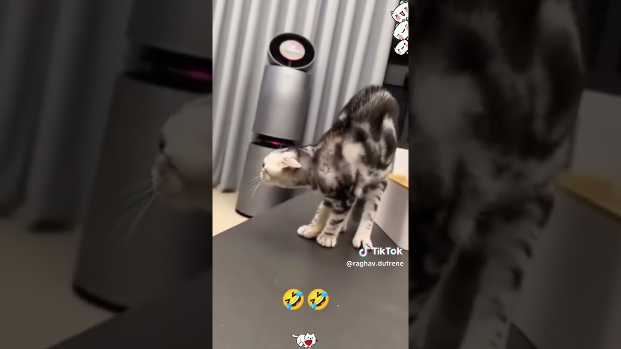 Запустить видео по клику - Как делать игры