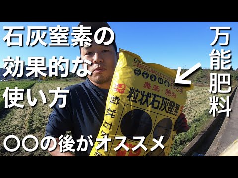 樹木栽培用石灰をいつ散布するか?その理由とその方法を見てみましょう！  庭園