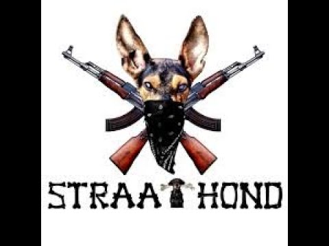 Straathond - Yu ano gangster