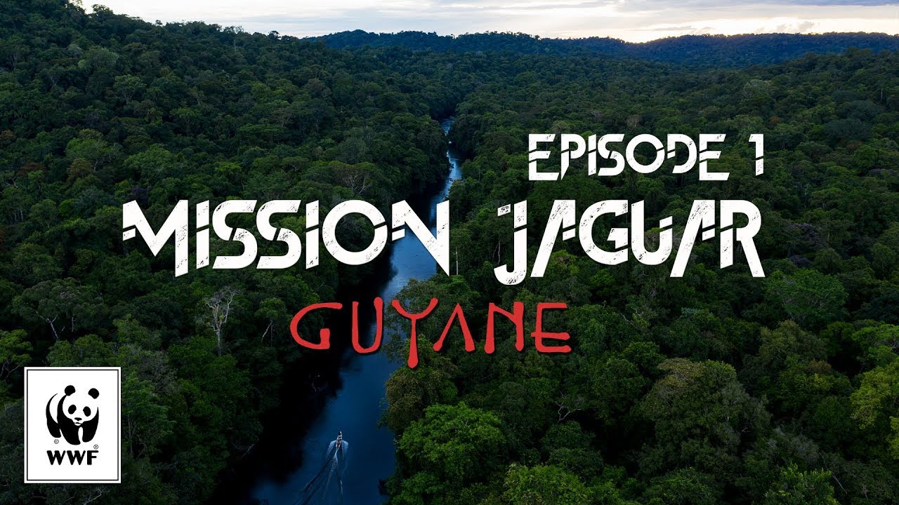 Mission jaguar Guyane - Épisode 1