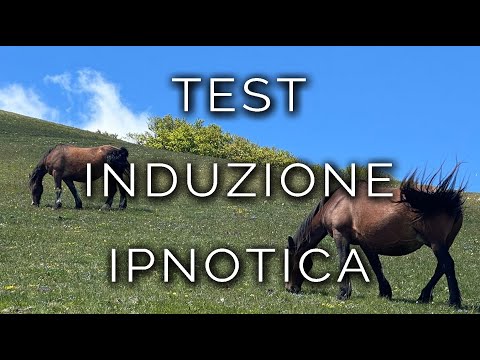 1700-IT TEST DI INDUZIONE IPNOTICA - Ipnosi Esoterica ∞ Lucio Carsi
