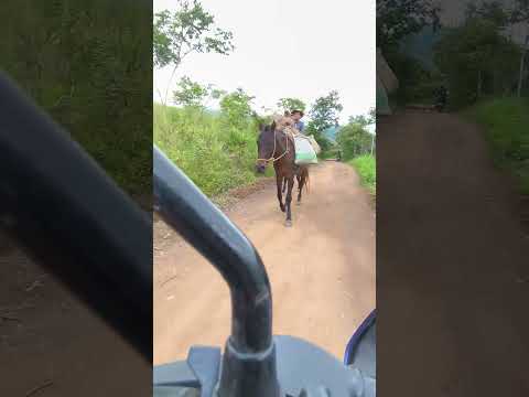 Veredas de Taminango Nariño Colombia 