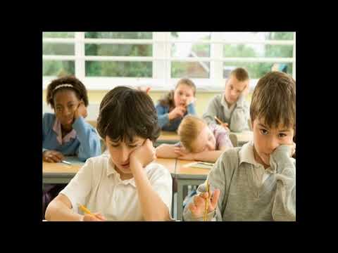 Escola da Existência - Do livro: O Mestre dos Mestres - De Augusto Cury