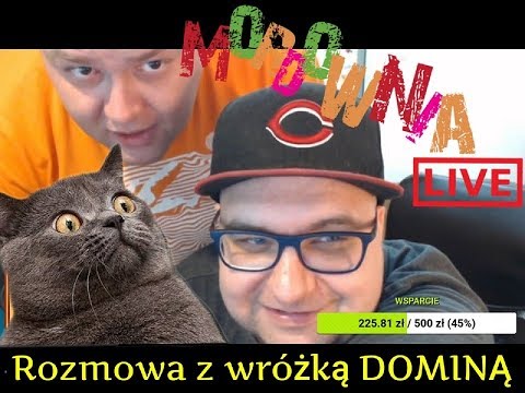 MORDOWNIA SHOTY EXTRA - Rozmowa z wróżką DOMINĄ