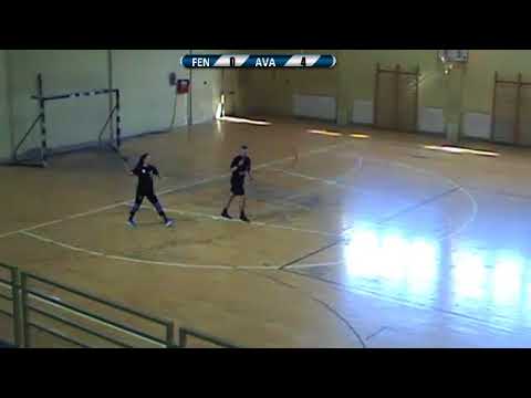 Trofej Smerevske Jeseni 2017 / DD /  Feniks - Avala