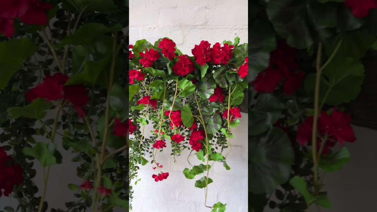 UV Protected Hanging Plants