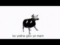 Polish Cow but with English pronunciations