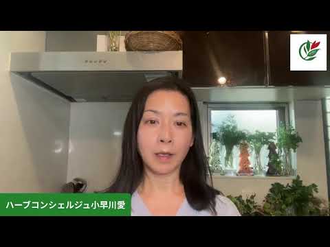 医療ビジネス薬科学科 ディルマヨネーズにルッコラ