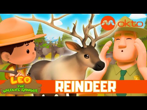 🦌 REINDEER RESCUE MISSION 🧭 JUNIOR RANGERS | Leo the Wildlife Ranger S7E12 |  @mediacorpokto ​