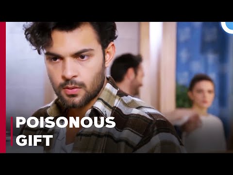 The Fall Of Yagız The Youngbuck - Can't Stop Loving You