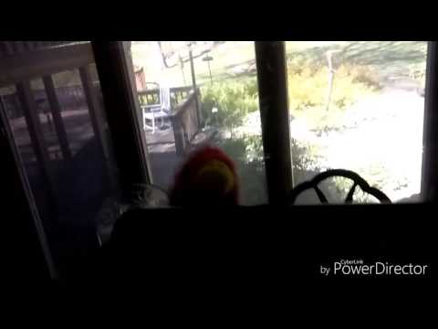 Tom the Hand: The Movie (2017) - The Camera Glitch Scene