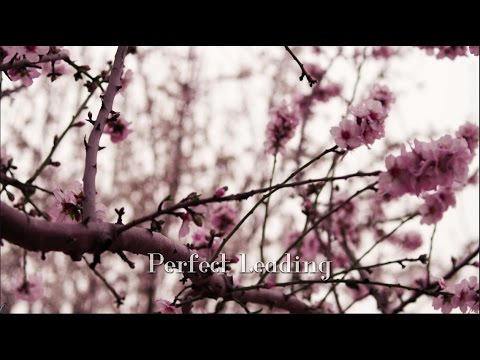 Perfect Leading in Scribus 1.4.6