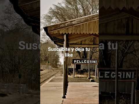 Pellegrini Buenos Aires. Ruta Nacional 5