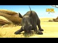 Go Fetch With Leon The Lion 35 Compilation Crazy Animals