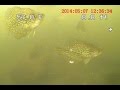 crappie fishing and slow trolling with an underwater ...