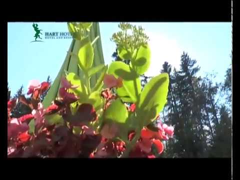 Prezentare Hart Hotel **** Predeal