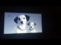 Ice Age The Meltdown Full Screen DVD