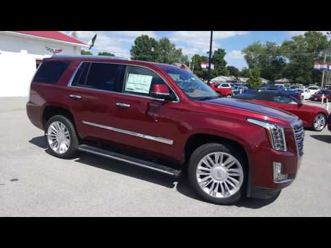 2016 Cadillac Escalade Platinum for Tom