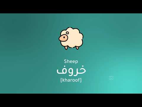 Farm Animals Vocabulary in Arabic.