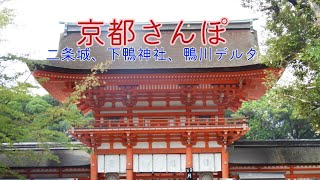 【京都さんぽ】二条城、下鴨神社、鴨川デルタへ。自然と歴史を感じる夏の京都さんぽ。#癒し #歴史 #風景 #神社 #京都